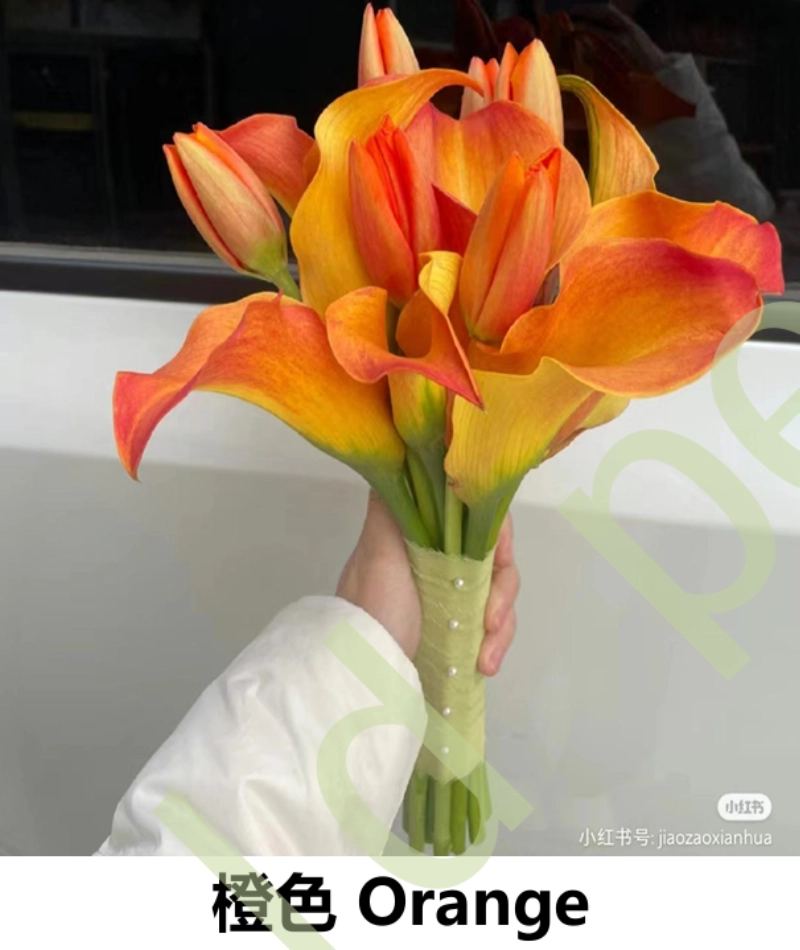 Calla Lily - Image 2