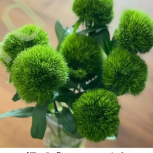Green tick