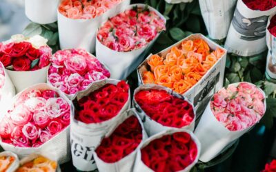 How to Choose the Perfect Bouquet for Any Occasion